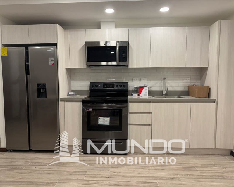 APARTAMENTO AMUEBLADO EN RENTA ZONA 10