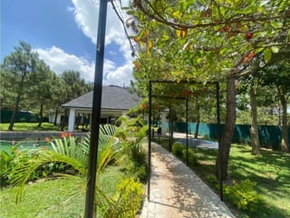 Casa Vacacional en Venta, Barberena - Image 18