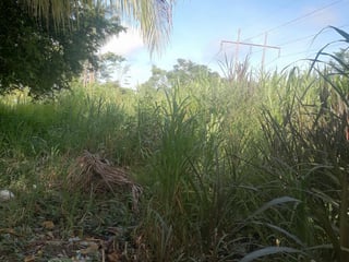 Terreno en venta en Aldea Juan Ponce Zacapa - 5