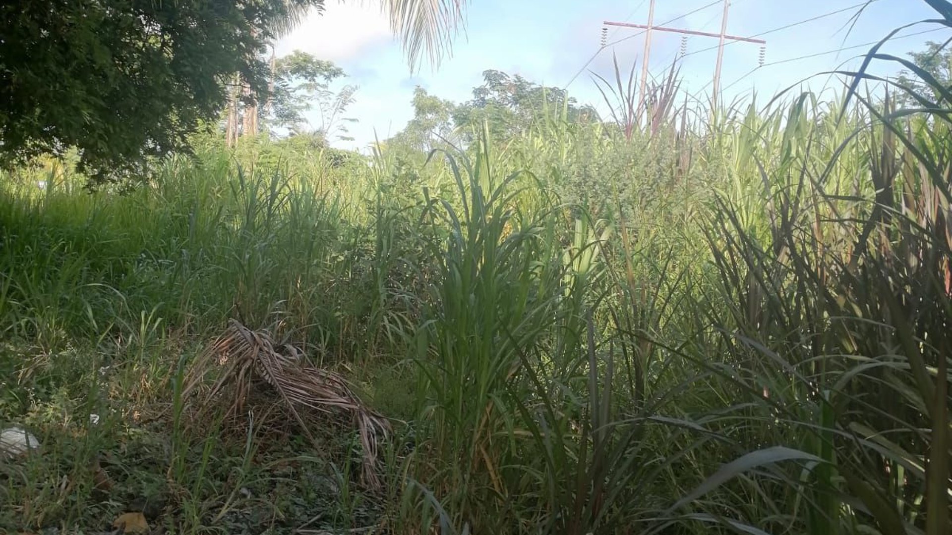 Terreno en venta en Aldea Juan Ponce Zacapa - Miniatura 5