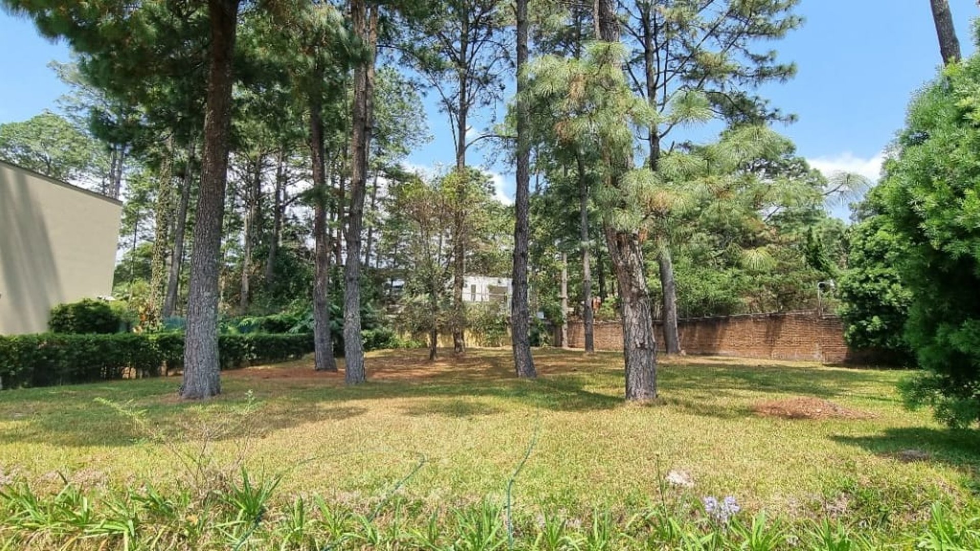 Terreno en Venta, Zona 11 (V8623) - Miniatura 4