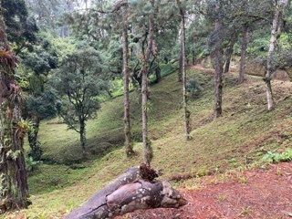 Terreno en VENTA en Muxbal, CES - Image 7