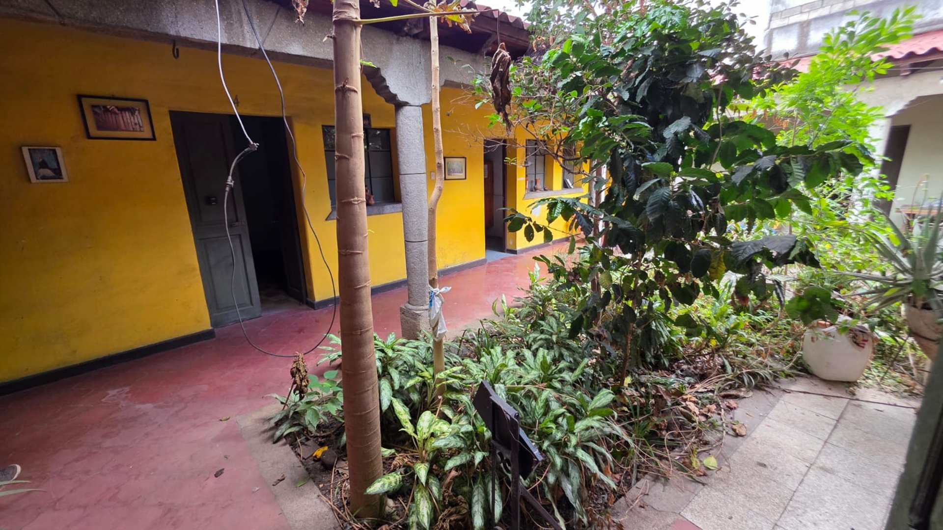 Casa en renta con 7 habitaciones, ideal para inversión zona 2 Ref-5739