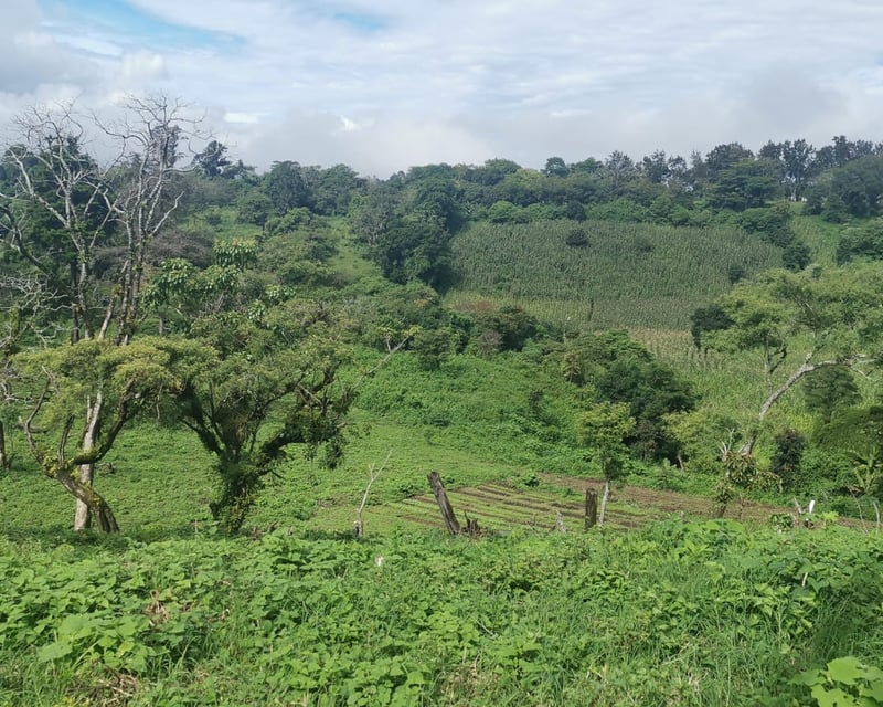 Terreno en Venta Carretera a El Salvador, Km.26