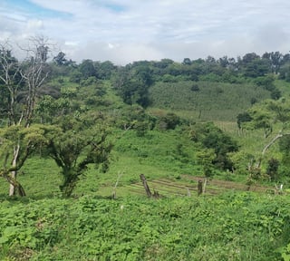 Terreno en Venta Carretera a El Salvador, Km.26