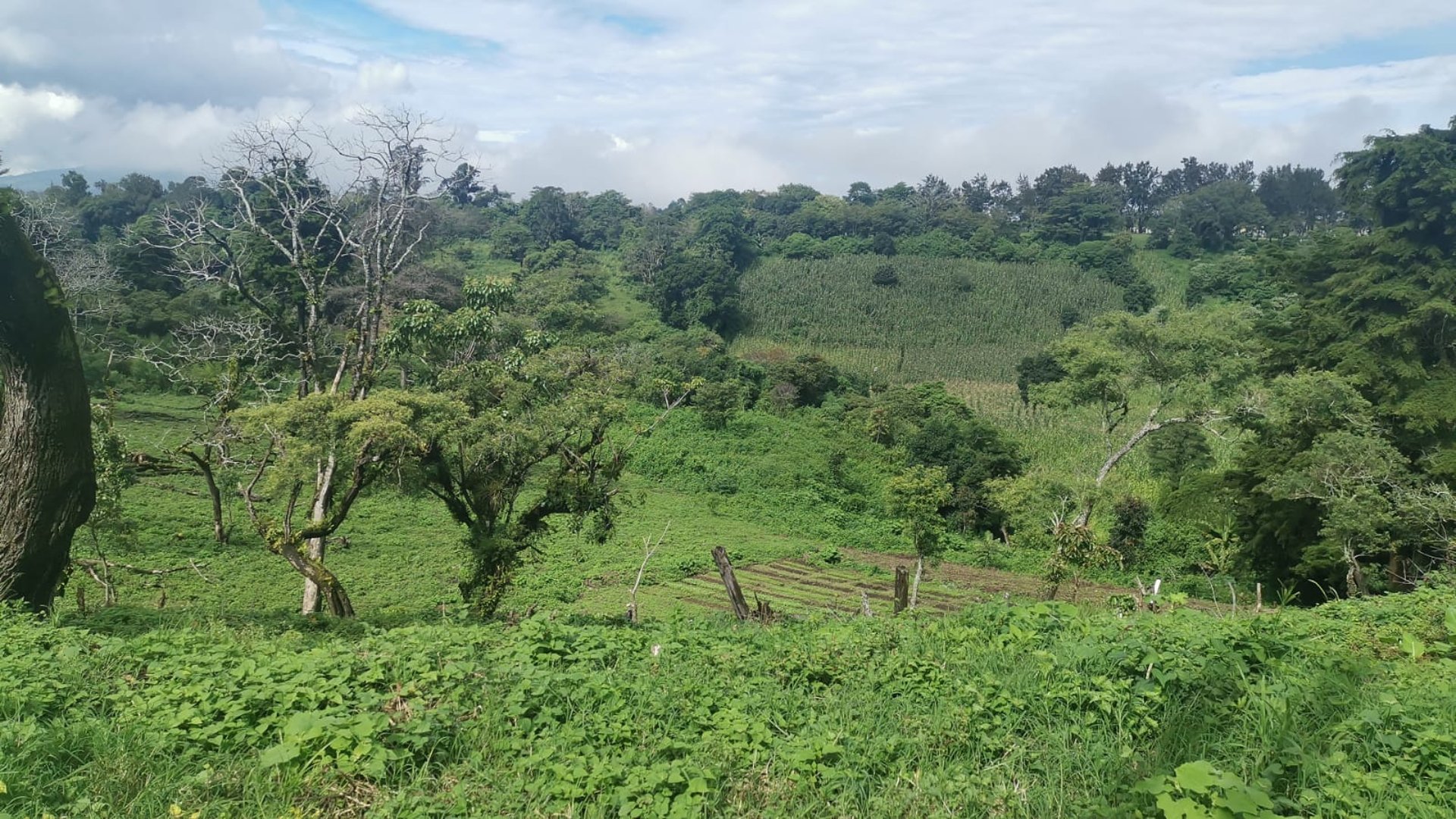 Terreno en Venta Carretera a El Salvador, Km.26