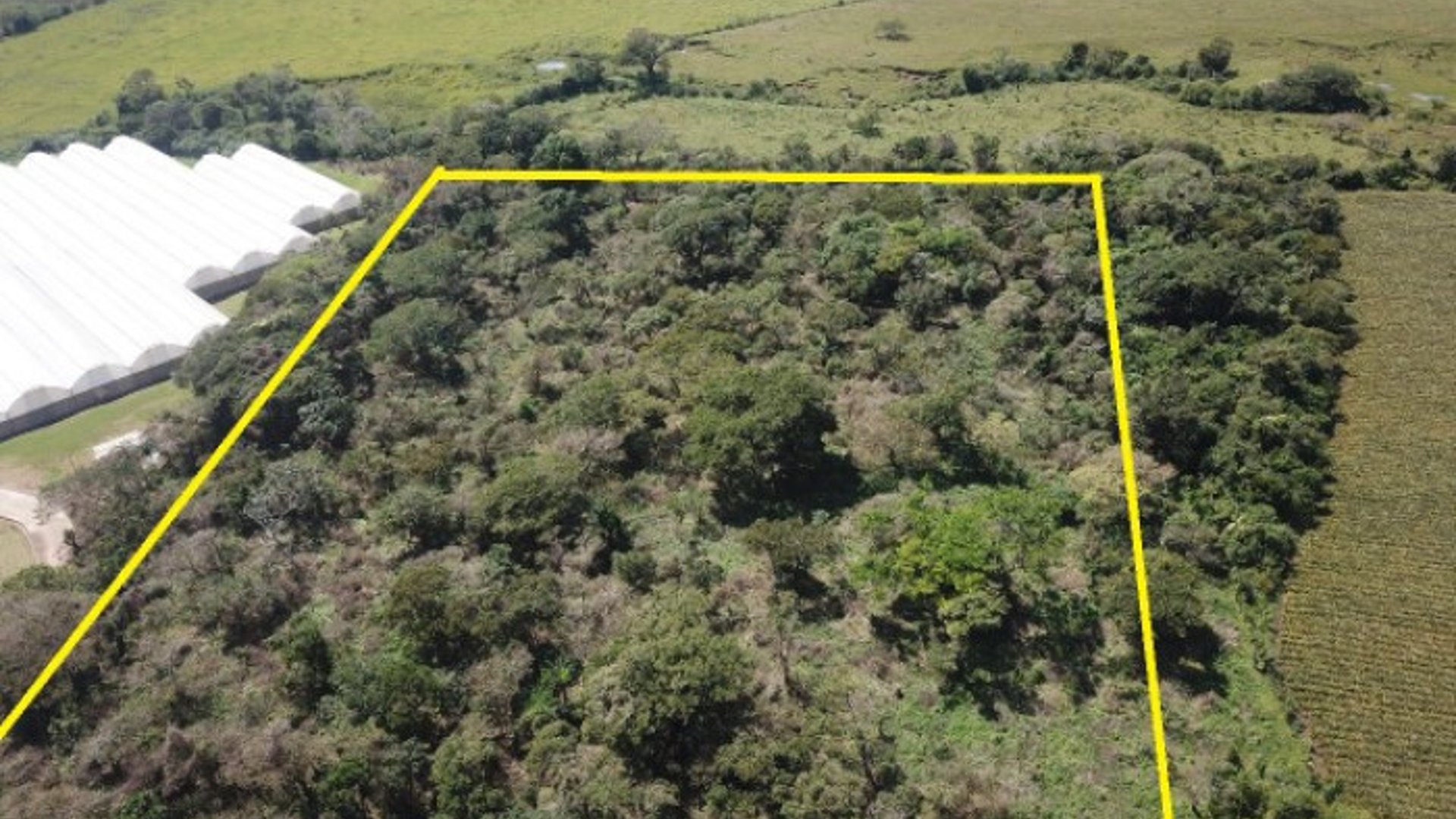 Atención Inversionistas, Terreno en Venta Guatemala - Miniatura 8