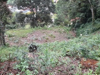 Terreno en Venta en Urbanización Las Cumbres, Zona 16 - 2