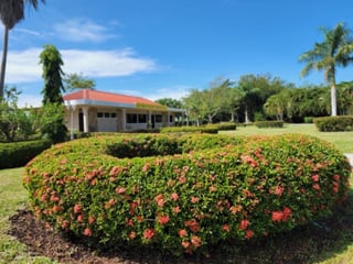 Terreno Vacacional en Venta Lagunas de Torremolinos - Image 5