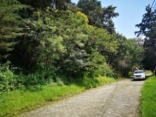 El Encinal/Terreno en venta - 4