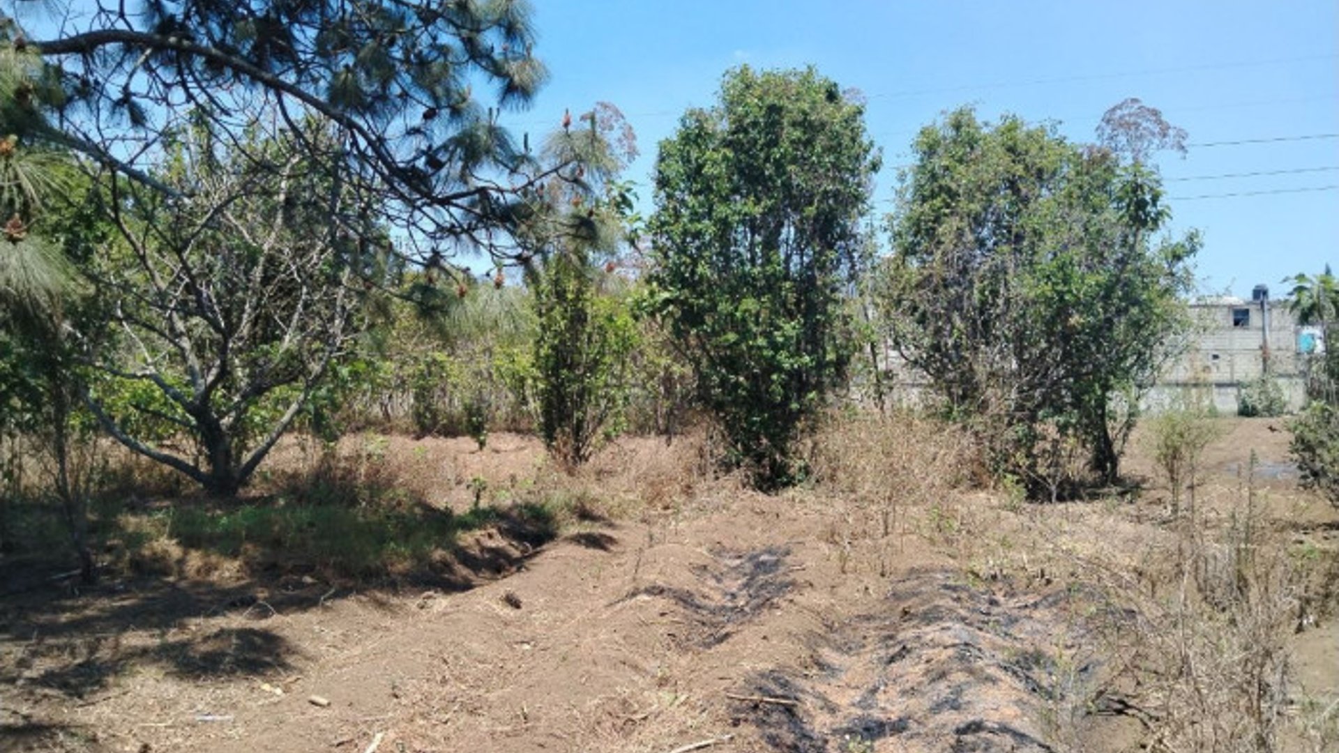 TERRENO EN VENTA EN CHIMALTENANGO - Miniatura 14