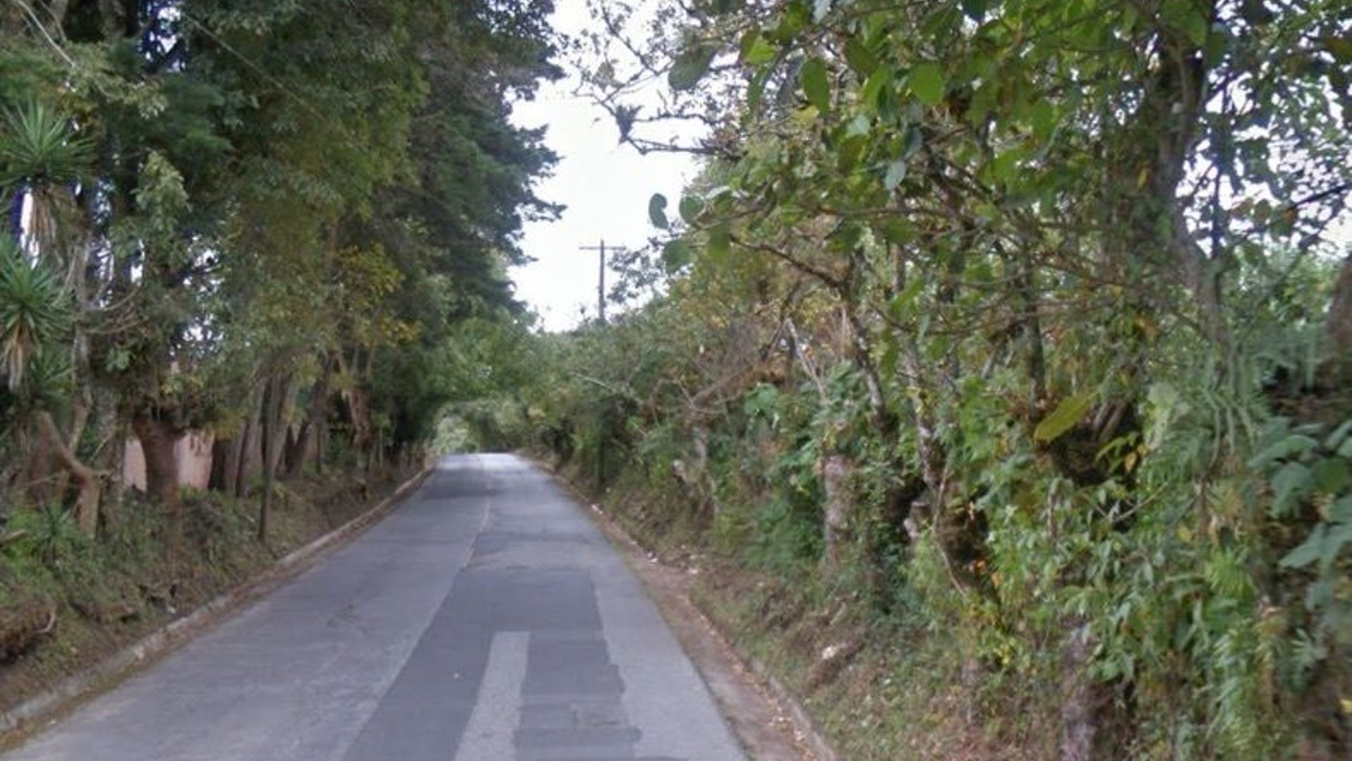 Terreno  de 57 manzanas en venta carretera Lo de Dieguez , CES