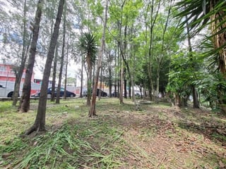Terreno en Renta para Vivero o Restaurante tipo Pérgola - 2