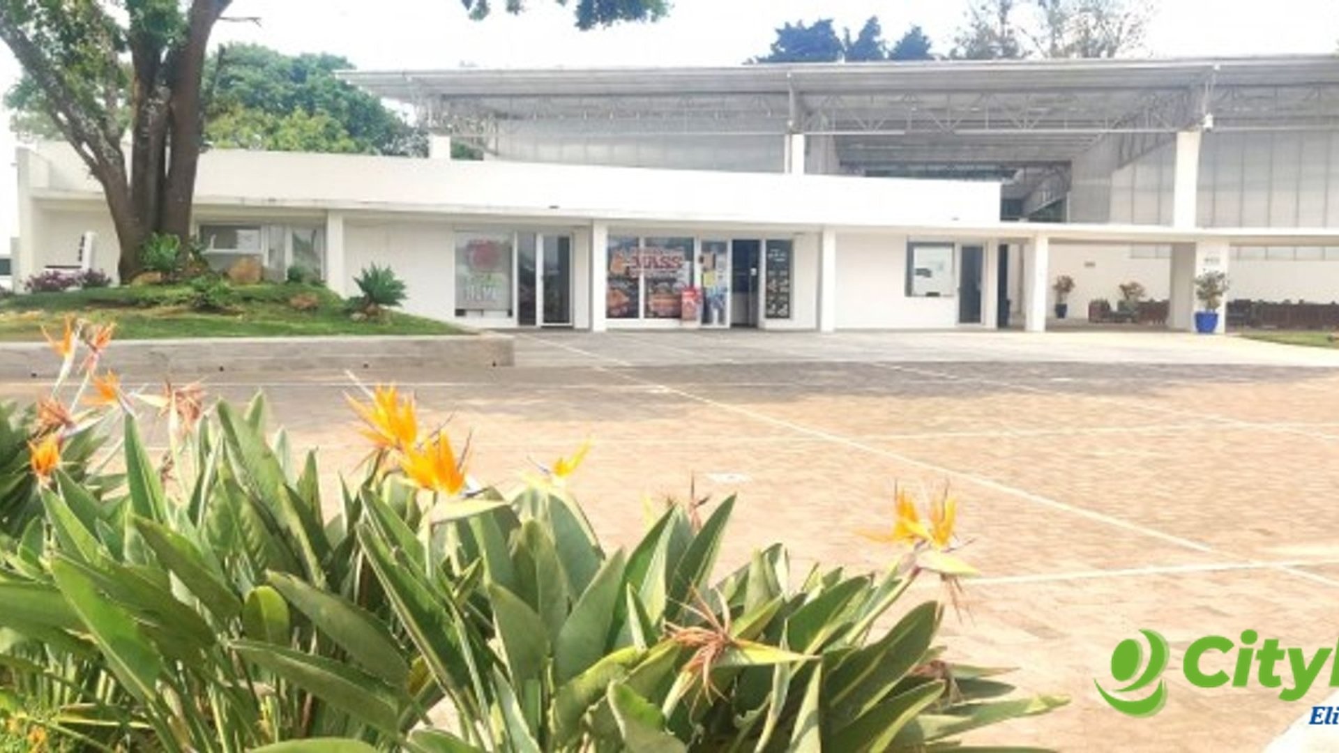 Casa moderna en renta en area exclusiva - Miniatura 15