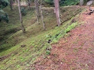 Terreno en VENTA en Muxbal, CES - 3