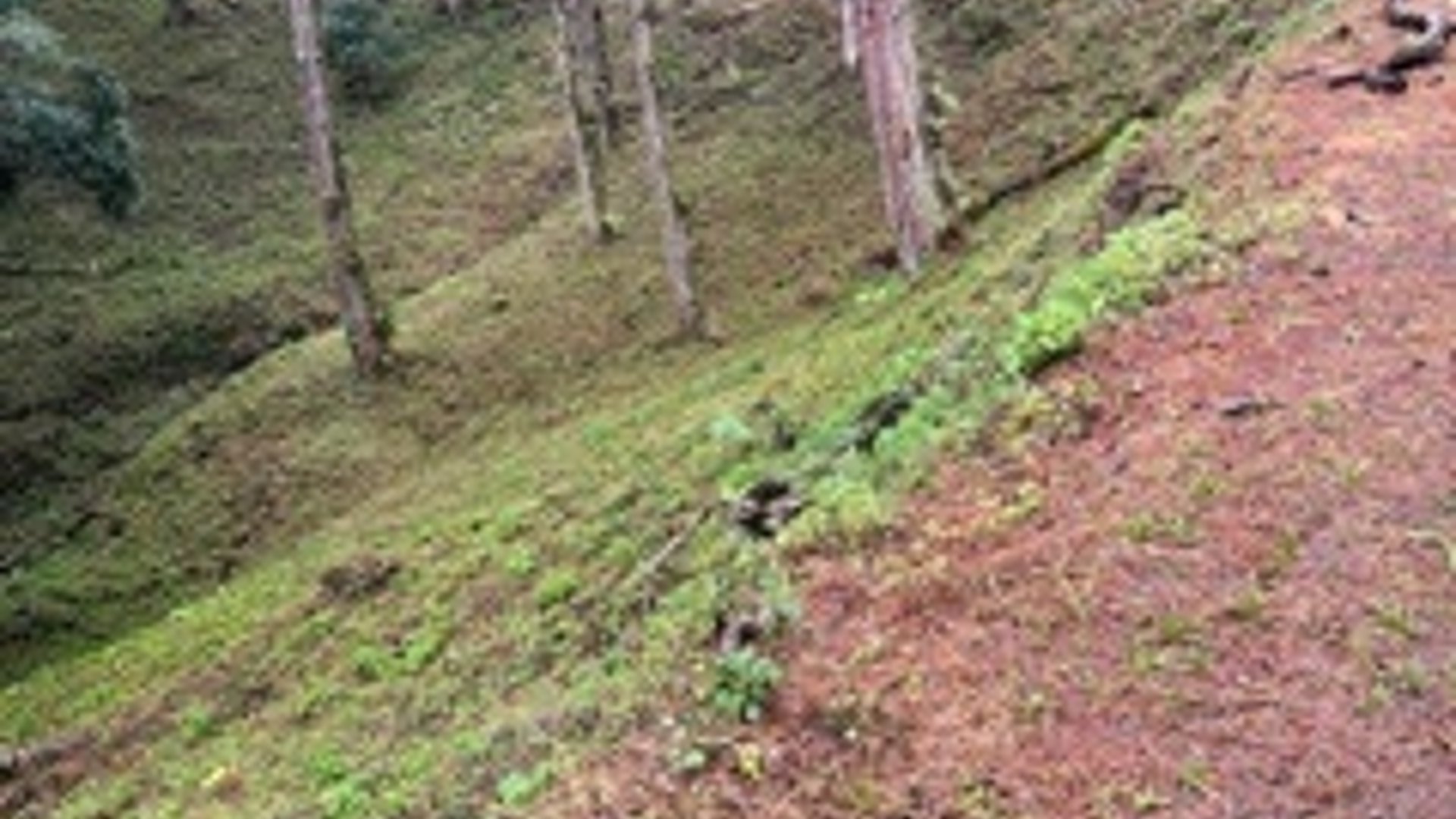 Terreno en VENTA en Muxbal, CES - Miniatura 3