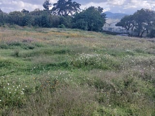 Terreno Comercial en Renta en Zaragoza, Chimaltenango - 3