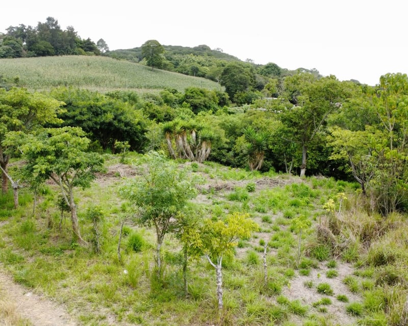Terreno en Venta a orilla de carretera en zona 18