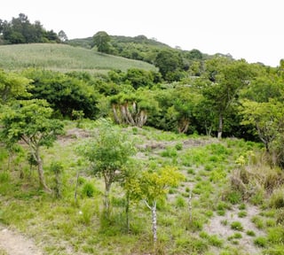 Terreno en Venta a orilla de carretera en zona 18