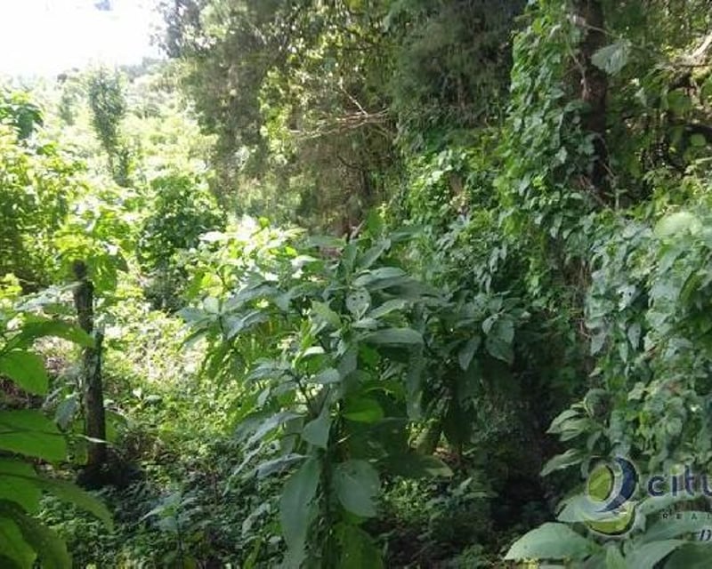 Terreno en Carretera al Salvador km 26 Sta. Elena