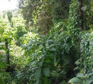 Terreno en Carretera al Salvador km 26 Sta. Elena