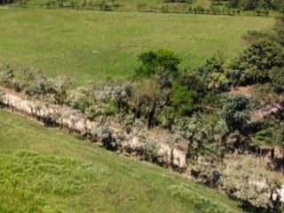 Livestock Farm for Sale in Panzós, Alta Verapaz - 5