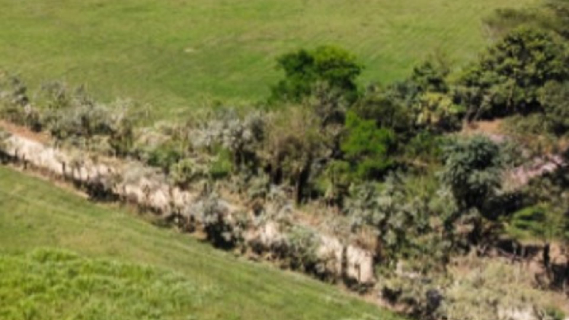 Livestock Farm for Sale in Panzós, Alta Verapaz - Miniatura 5