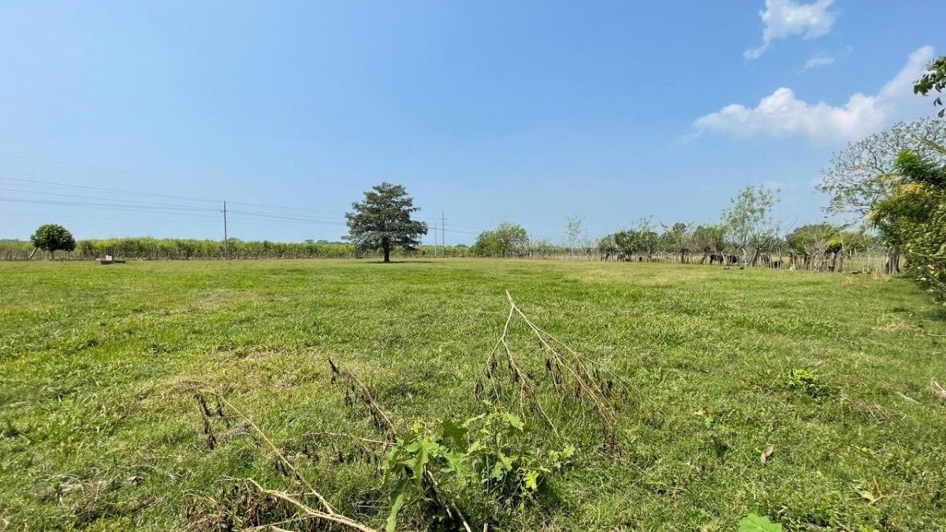Terreno en Venta I Puerto San José