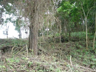 Exclusivo Terreno en venta Las Cumbres Z.16 Guatemala - 4
