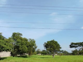 Terreno en VENTA  Parque Industrial en Escuintla - 5