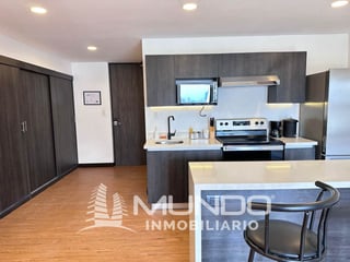ZONA 10 APARTAMENTO RENTA AMOBLADO TIPO ESTUDIO - 5