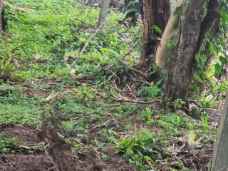 TERRENO EN VENTA EN STA ROSALIA LA LAGUNA - 3