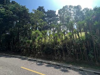 Vendo Terreno dentro de garita km 12.7 Carretera a El Salvador - 4