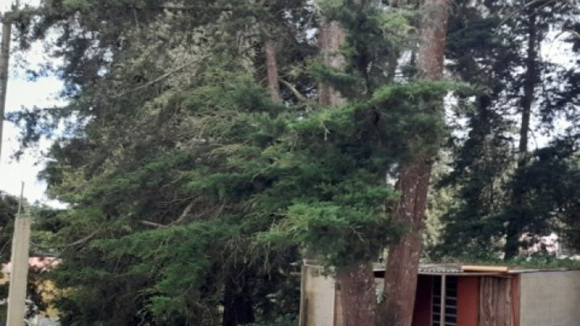 Terreno en Venta en Santiago Sacatepéquez Guatemala - Miniatura 4