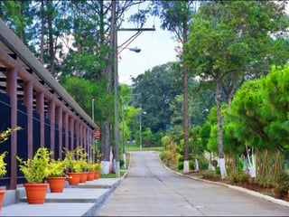 Terreno tipo Granja en Venta Praderas del Bambú - 2
