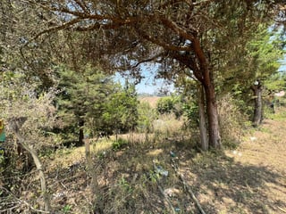 Terreno en venta, en Sumpango - 2