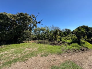 Terreno en venta para desarrollo de casas en Santa Elena Barillas – atrás del Rincón de la Finca - 5