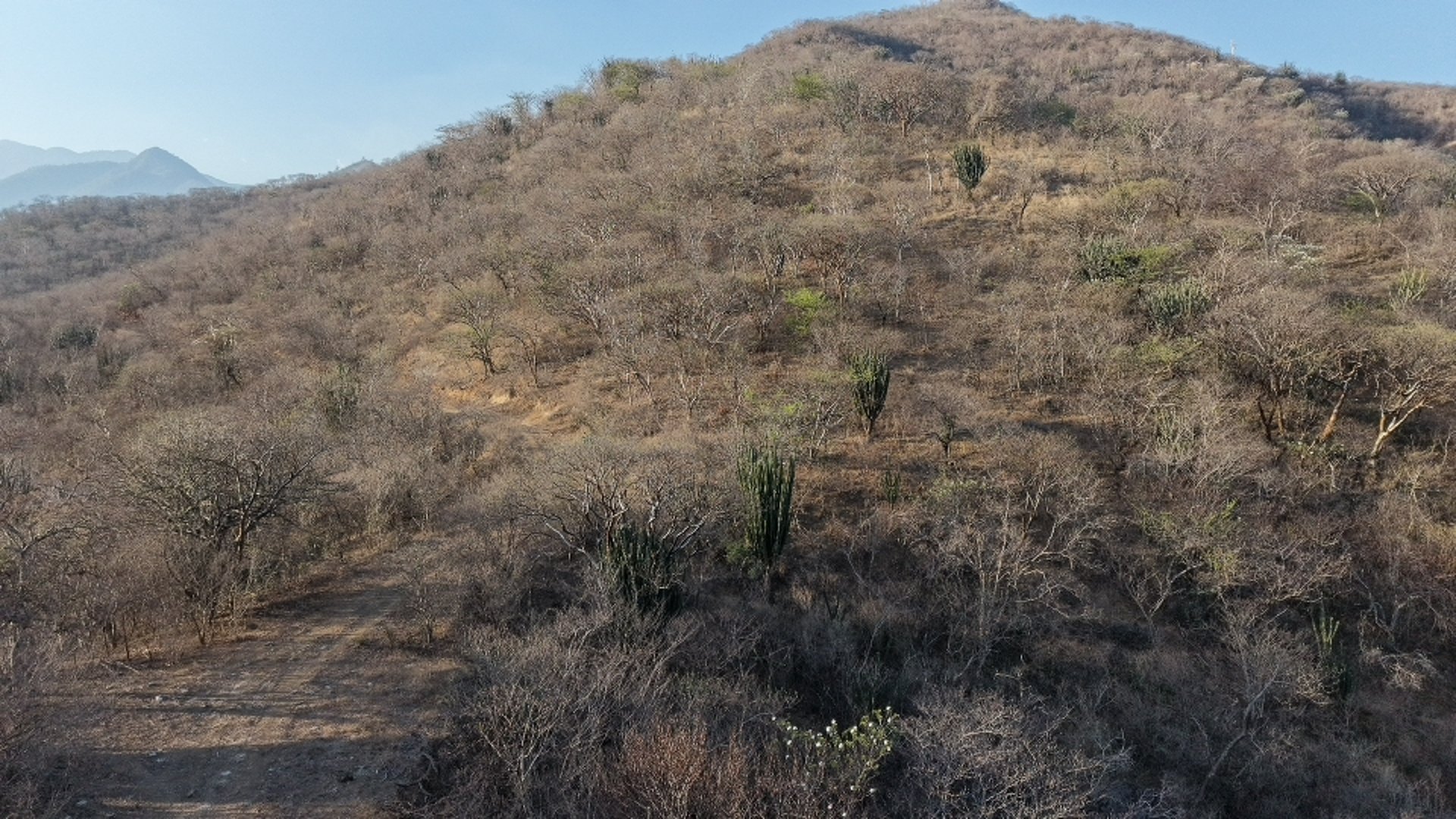 Magnífica Finca en Venta: Zacapa, Guatemala - Oportunidad Única - Miniatura 8