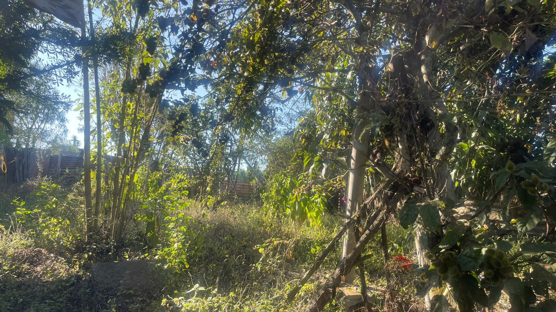 Terreno en Venta en San Pedro Ayampuc, Guatemala - Miniatura 11