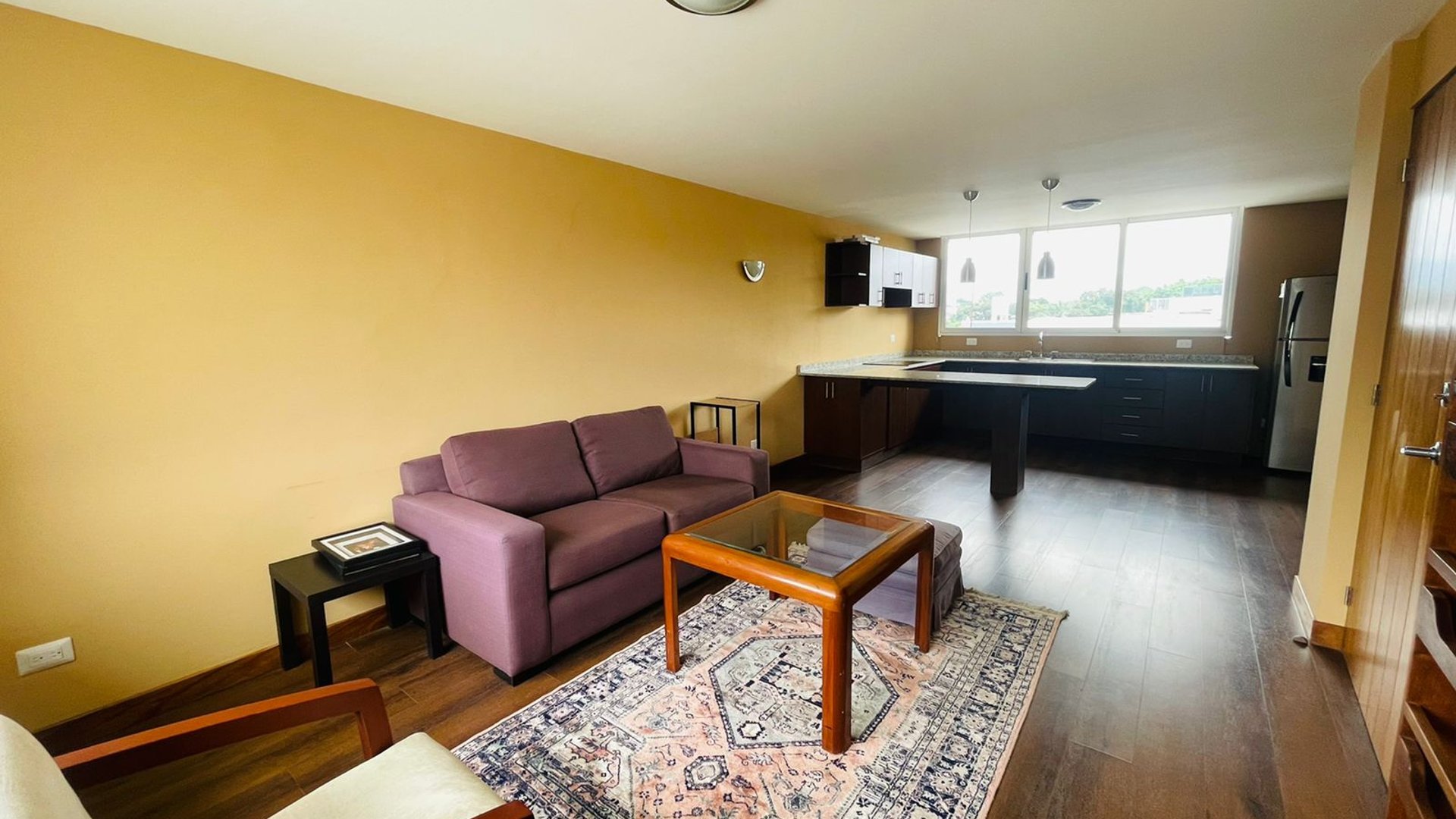 ALQUILER DE CÉNTRICO APARTAMENTO AMUEBLADO - ZONA 04 - Image 1