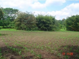 Venta de Terreno en Aldea La Unión Coatepeque - 5