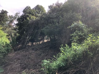 Terreno en Venta en Pacul, Sacatepéquez / EN DIRECTO - 4