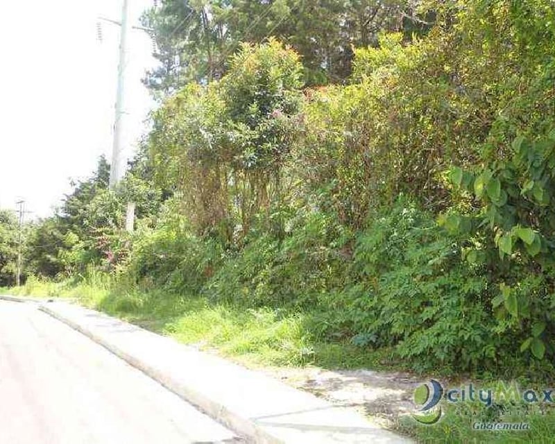 Terreno comercial en renta Carretera a El Salvador