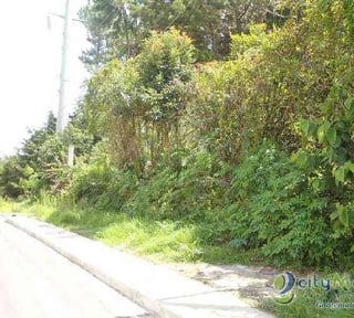 Terreno comercial en renta Carretera a El Salvador