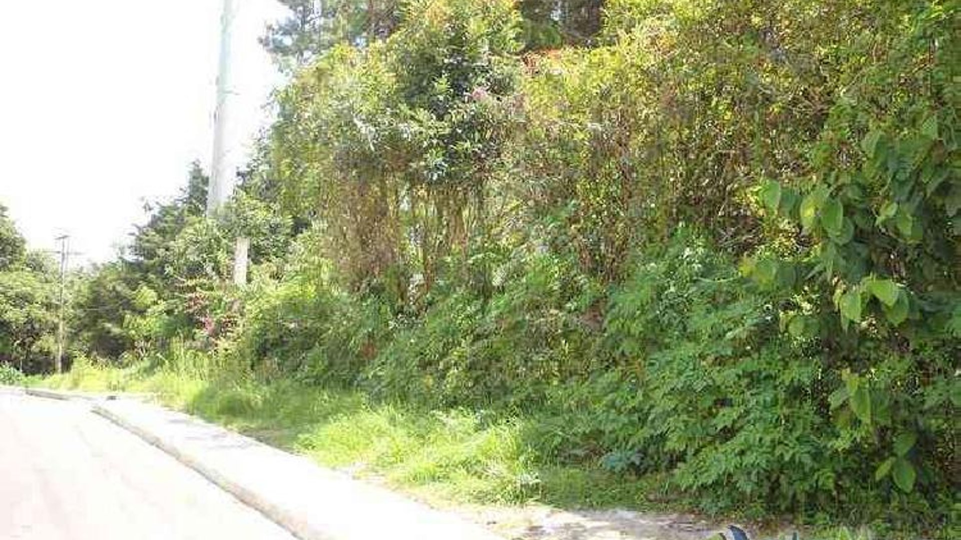 Terreno comercial en renta Carretera a El Salvador