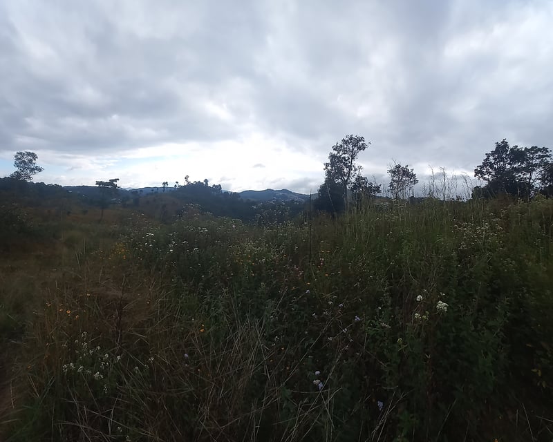 Terreno Comercial área San Pedro Ayampuc