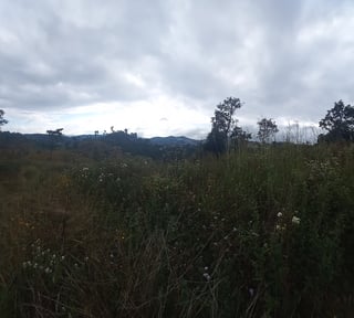 Terreno Comercial área San Pedro Ayampuc