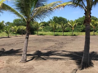 Vendo Terreno en Playa Ocean Side Monterrico - 4