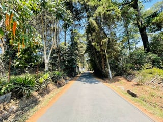 VENTA DE AMPLIO TERRENO - EL ENCINAL, ZONA 7 DE MIXCO  - Image 9