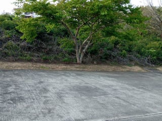 Terreno en VENTA en Sausalito Carretera a El Salvador Fraijanes - 3